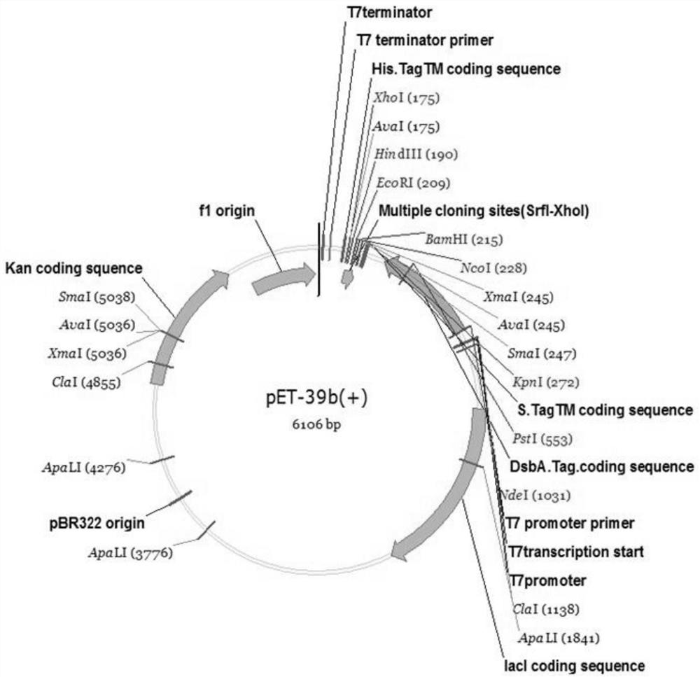 A semi-recombinant preparation method of glp-1 analogs