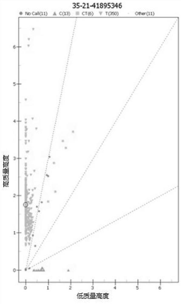 A kind of SNP molecular marker related to multiple lambs in sheep and its application