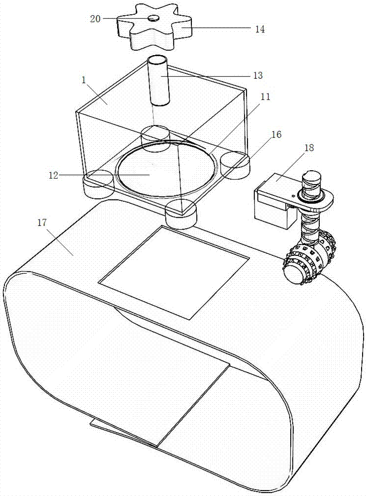 Body care bionic massage device