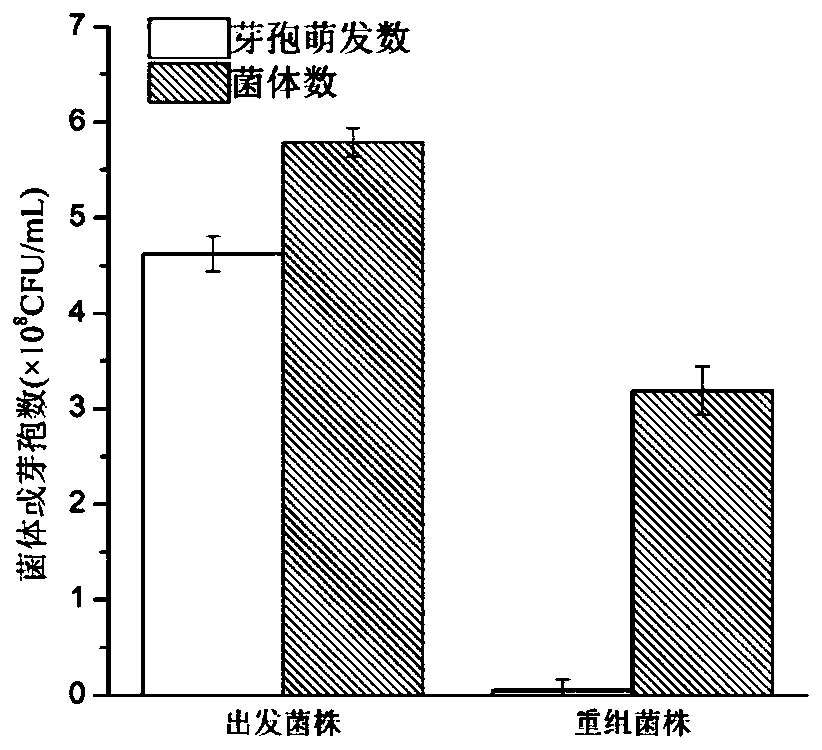 Method and application for improving fermentation enzyme production of bacillus licheniformis by knocking out spoIIQ and pcf genes