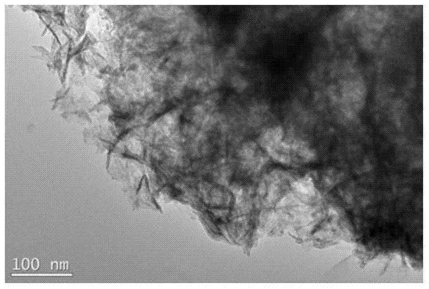 A kind of carbon fiber supported cobalt sulfide nanosheet catalyst and its application