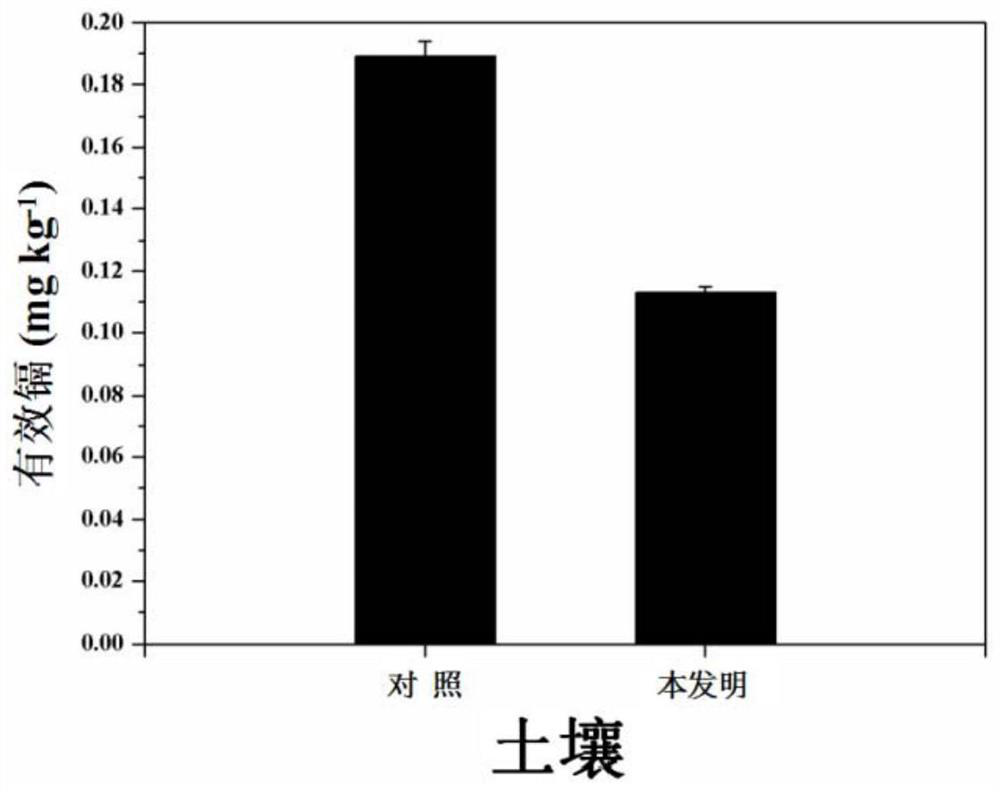 A kind of method of middle-season rice-wheat rotation in cadmium slightly polluted soil
