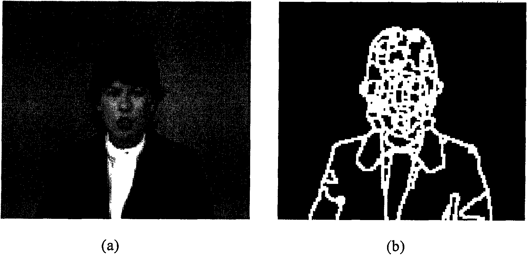 Method for segmenting video object based on fixed period regional compensation