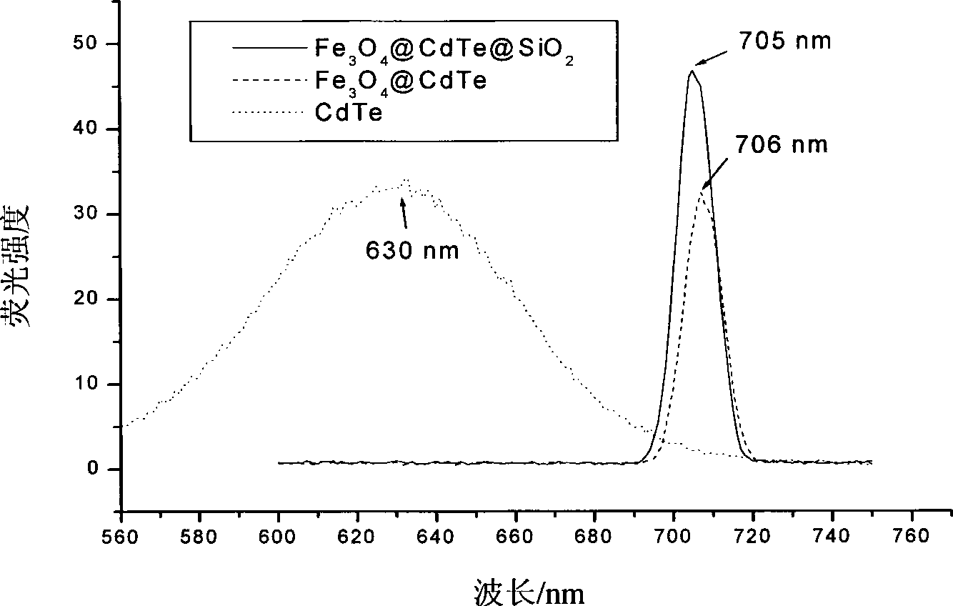 Magnetic fluorescent composite nanoparticle, as well as preparation and use thereof