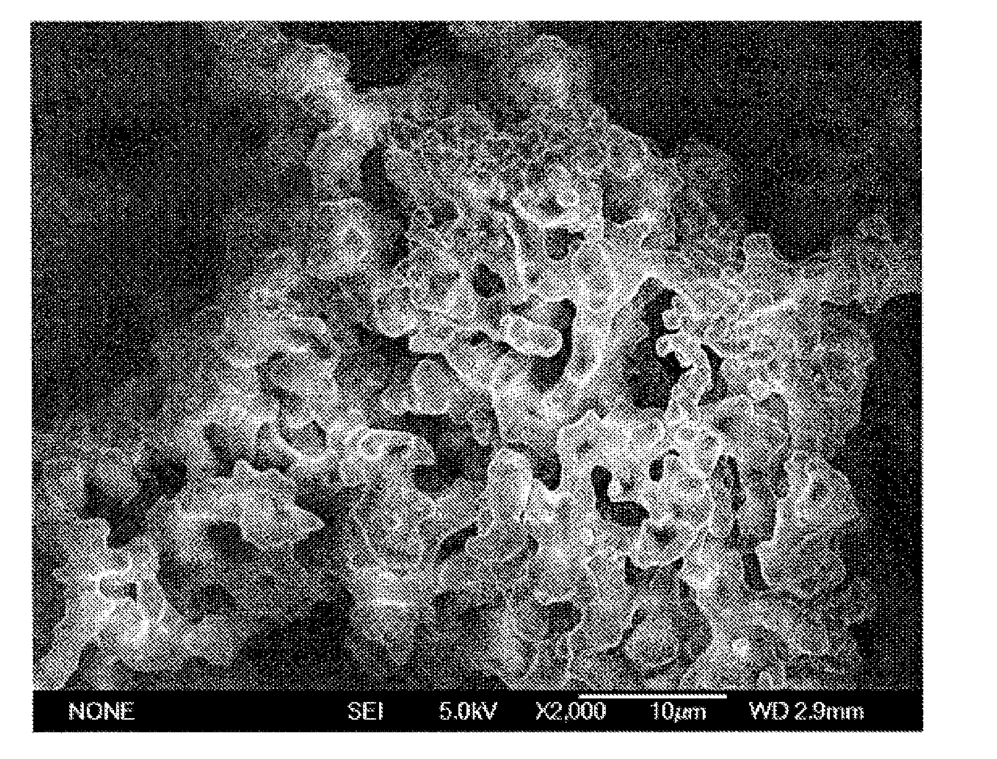Hybrid silica polymer, method for production thererof, and proton-conducting material