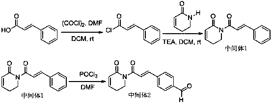 Use of resveratrol-based perylene amide analogs in medicine
