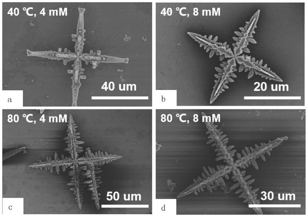 Fractal crystal of cyano-substituted spirocyclic aromatic hydrocarbon molecules, and preparation method and application of fractal crysta
