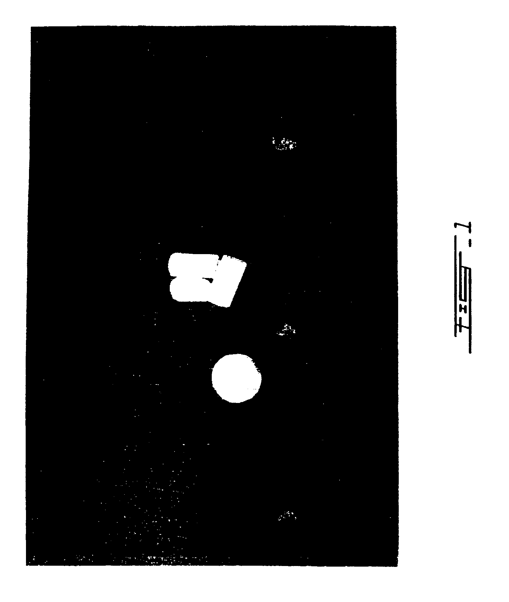 In situ self-setting mineral-polymer hybrid materials, composition and use thereof