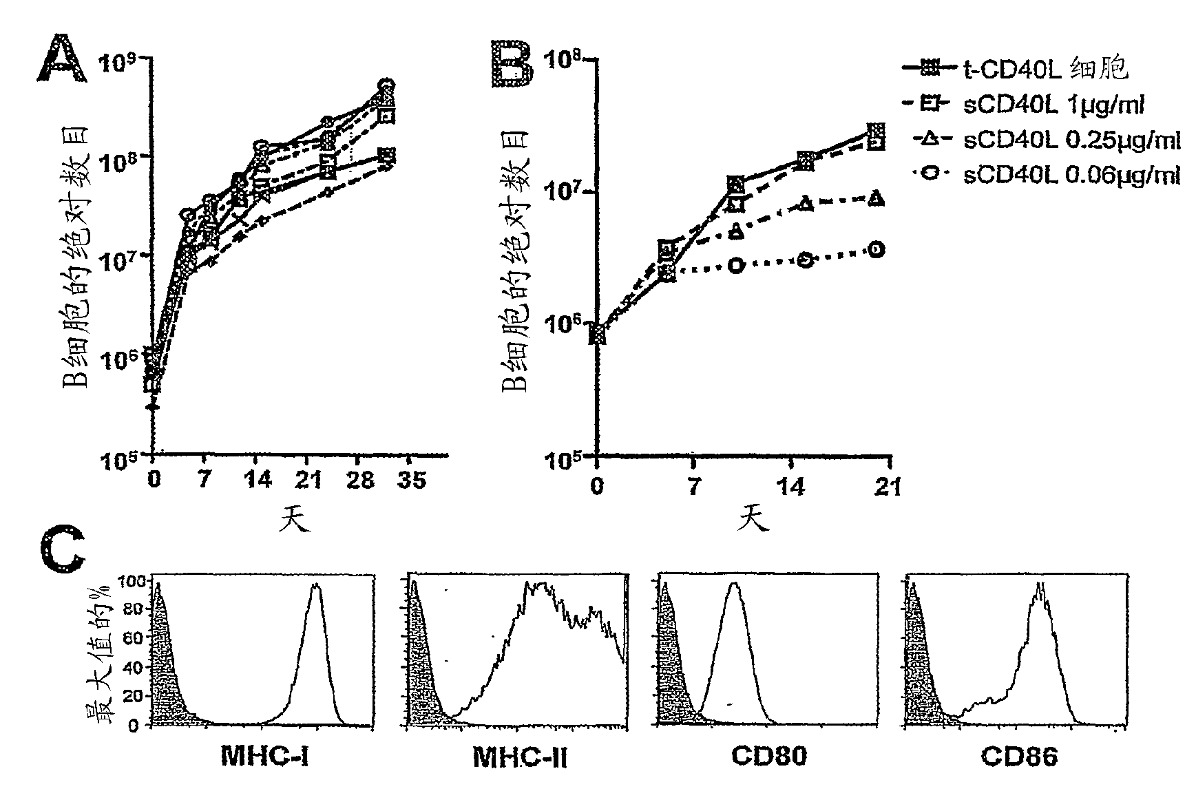 Method to induce and expand therapeutic alloantigen-specific human regulatory T cells in large-scale