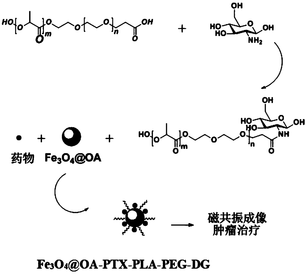 Preparation method of novel iron-oxide nanoparticle and application of nanoparticle to tumor targeted diagnosis and treatment