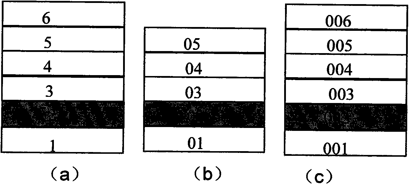 Organic electroluminescent device capable of forming spin-polarized injection