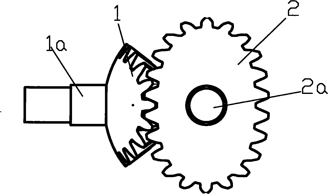 Egg shape conical gear pump