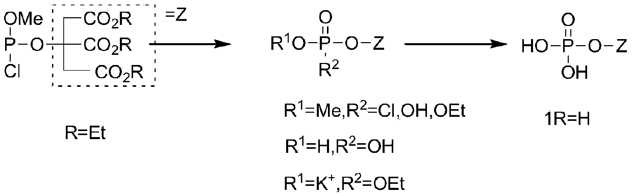 A kind of synthetic method of phosphoric acid citric acid derivative