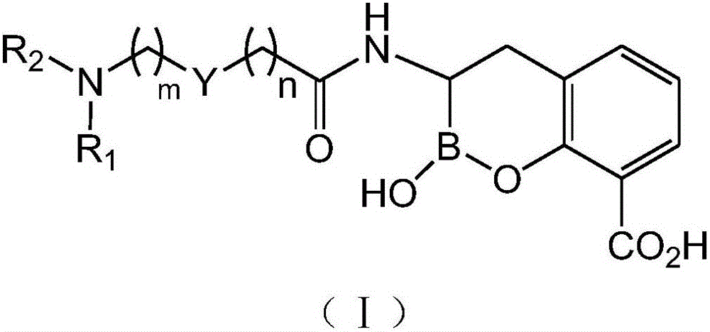 Novel broad-spectrum beta-lactamase inhibitor