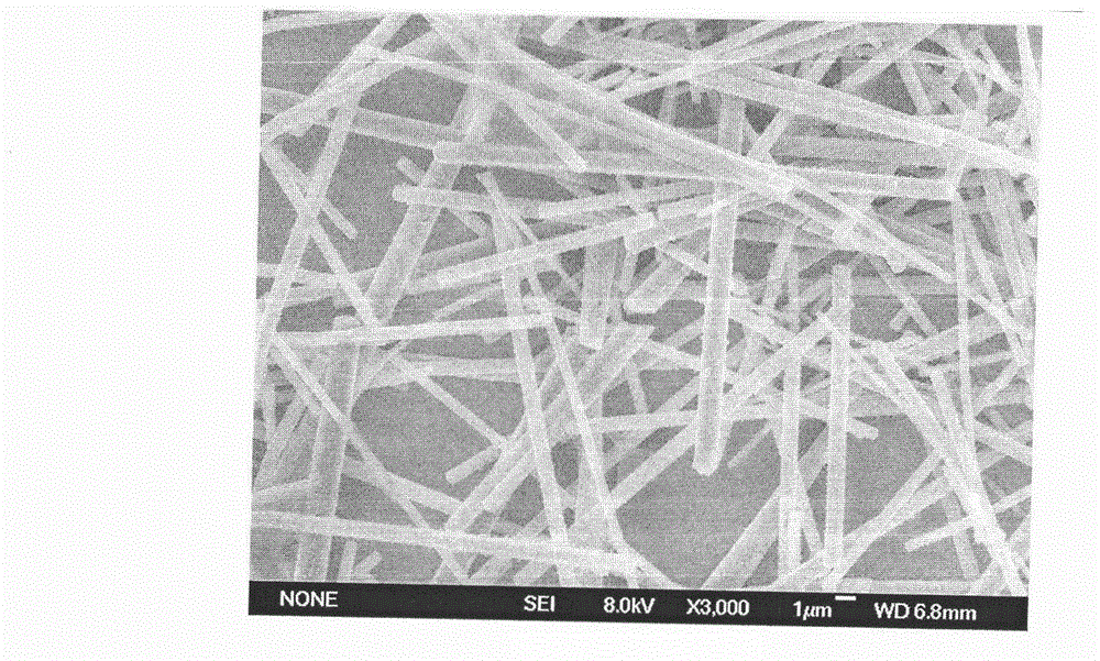 Method for preparing load metal fullerene nano-micron material by supercritical fluid technology
