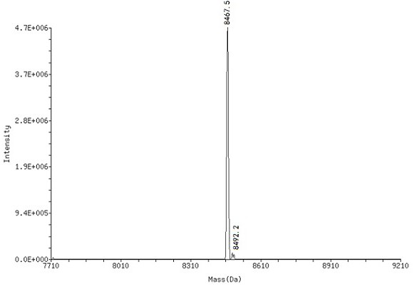 Synthesis method and application of o-phenol thionimine compound of on-DNA