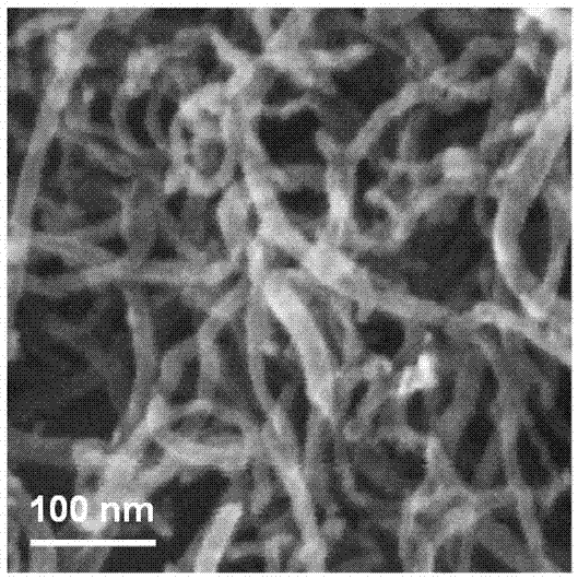 Cobalt-nitrogen co-doped carbon nanotube catalyst, preparing method and application