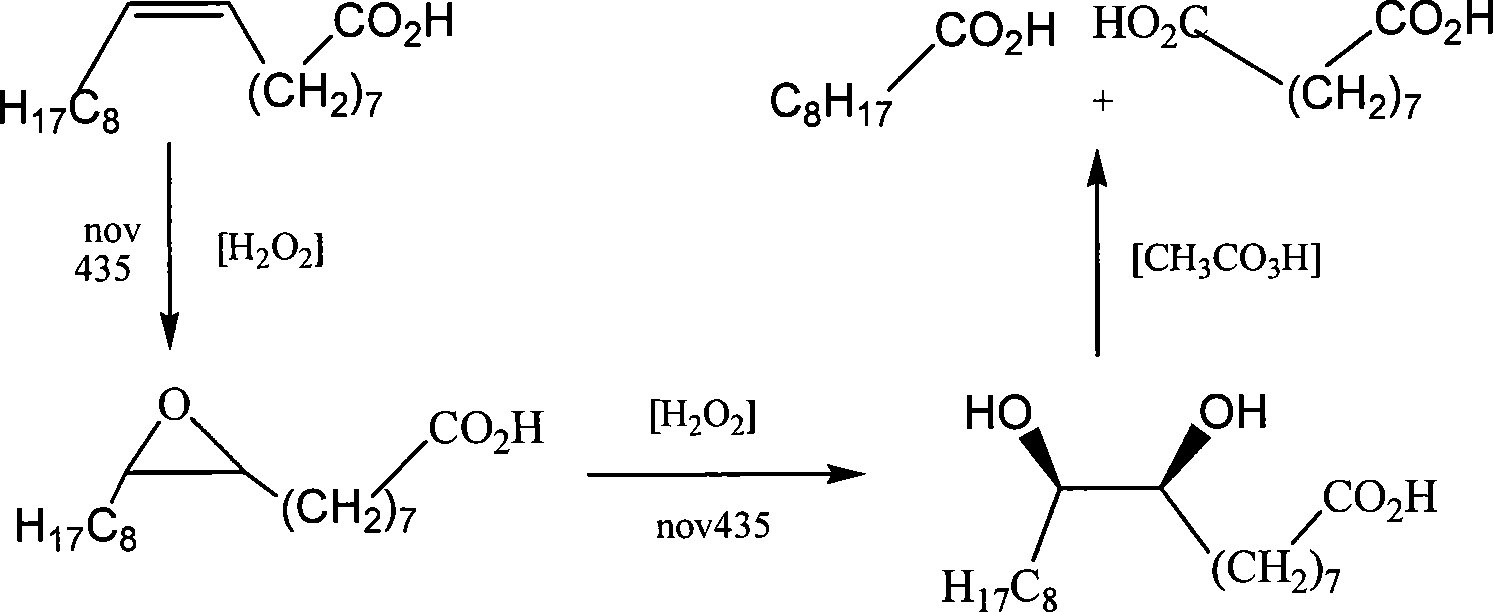 Method for preparing azelaic acid by enzyme catalysis of hydrogen dioxide oxygenated oleic acid