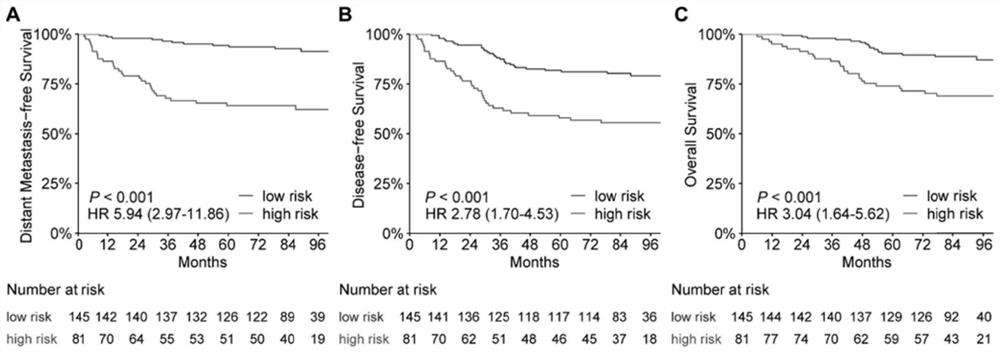Group of markers for predicting metastasis risk of nasopharyngeal carcinoma and application thereof