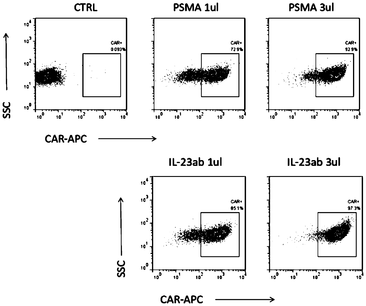 Prostate cancer-targeting CAR-T cell drug capable of secreting IL-23 antibody