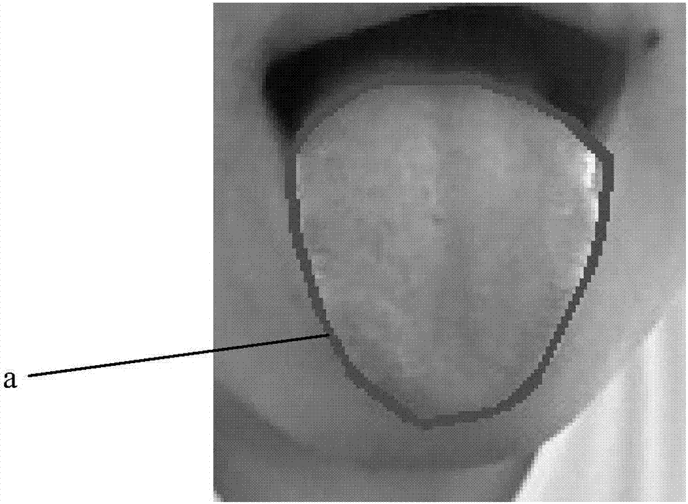Method for segmenting traditional Chinese medicine tongue images under open environment