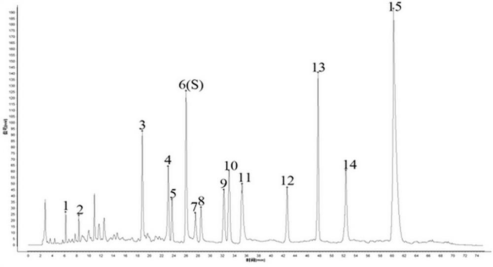 Detection method of ginkgo dipyridamole injection preparation