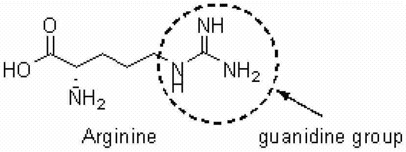 A kind of preparation method of six-membered bicyclic guanidine based on guanidine hydrochloride