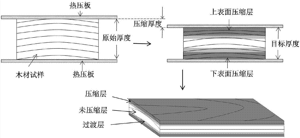Thickness control method of compressed layer of wood layered compression