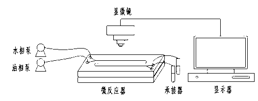 Microfluid extraction method for extracting and separating In, Fe and Zn