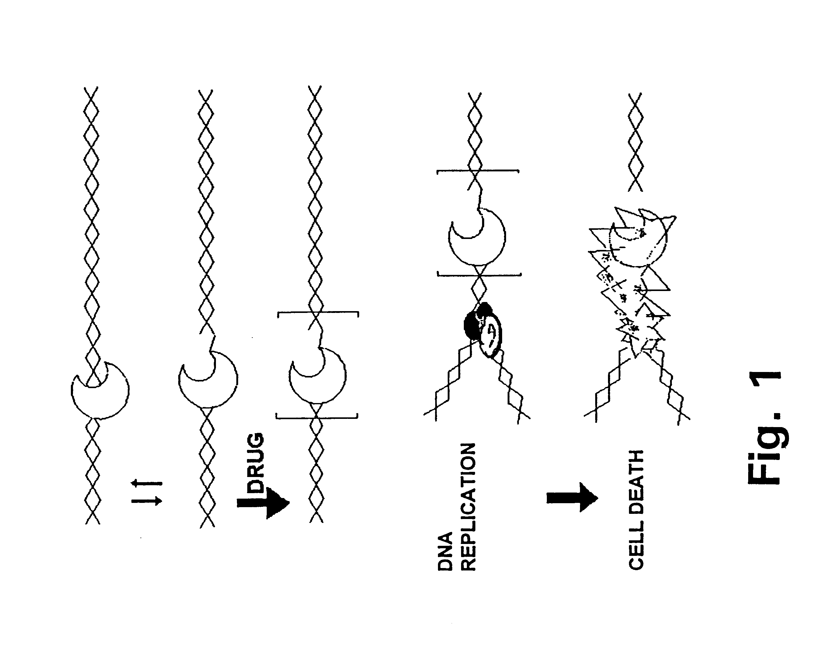 Treatment of accidental extravasation of anthracyclines