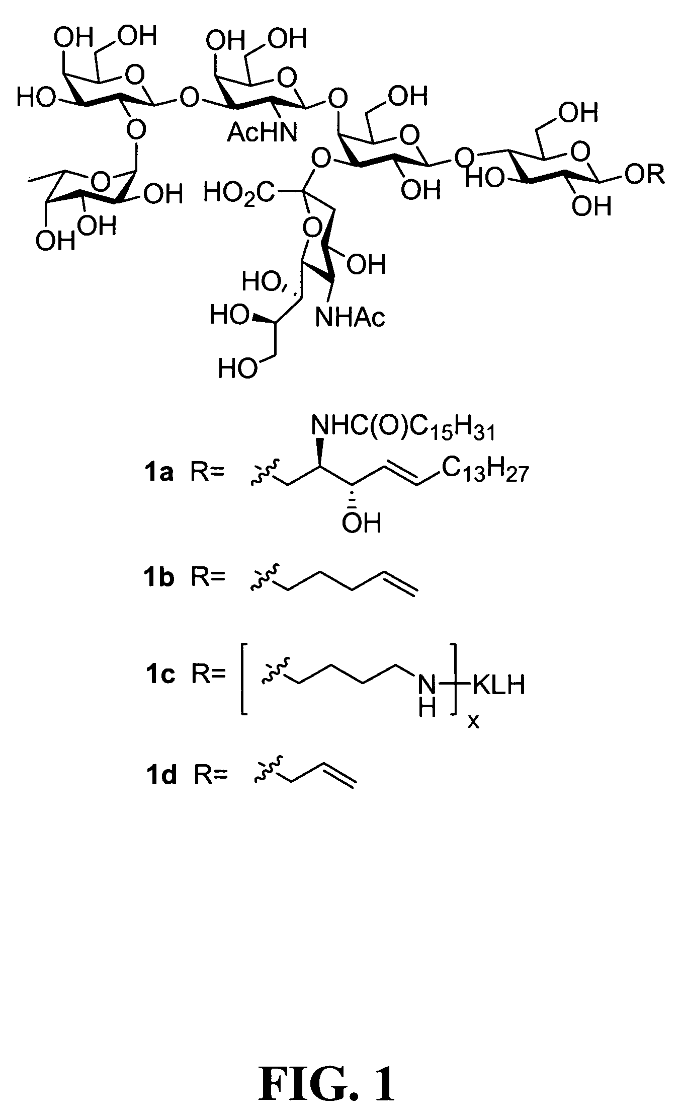 Clustered multi-antigenic carbohydrate constructs, methods for their preparation, and uses thereof