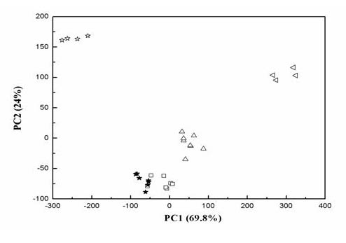 Pueraria lobata starch adulteration identification method based on principal component analysis