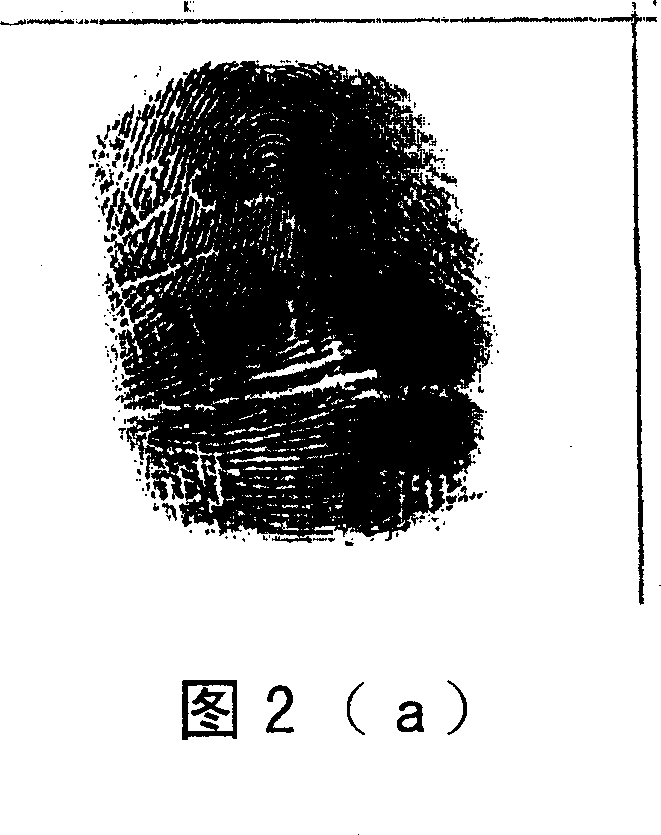 Automatic fingerprint classification system and method