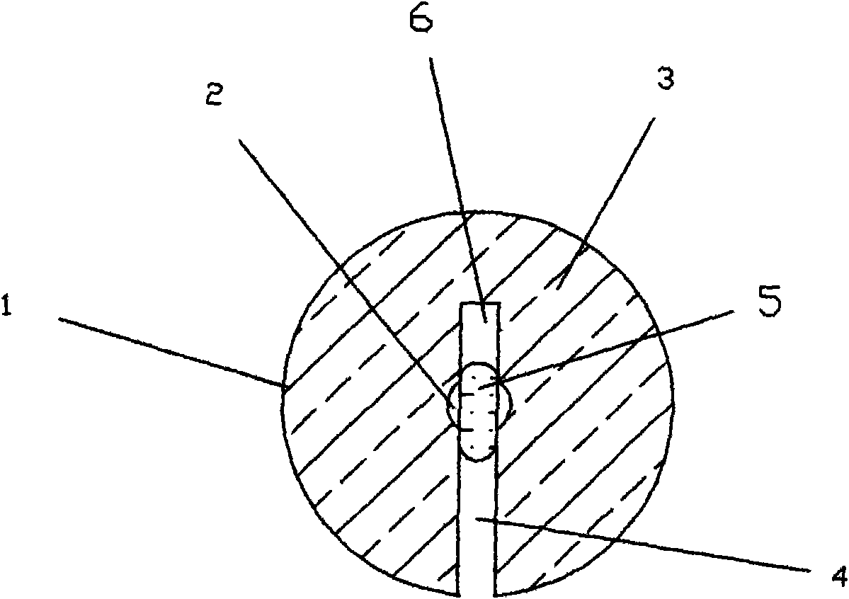 Core-crossing microstructure sensing optical fiber