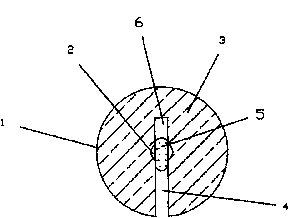 Core-crossing microstructure sensing optical fiber