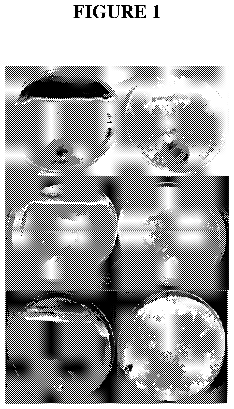 Methods and compositions for the biological control of plant pathogens