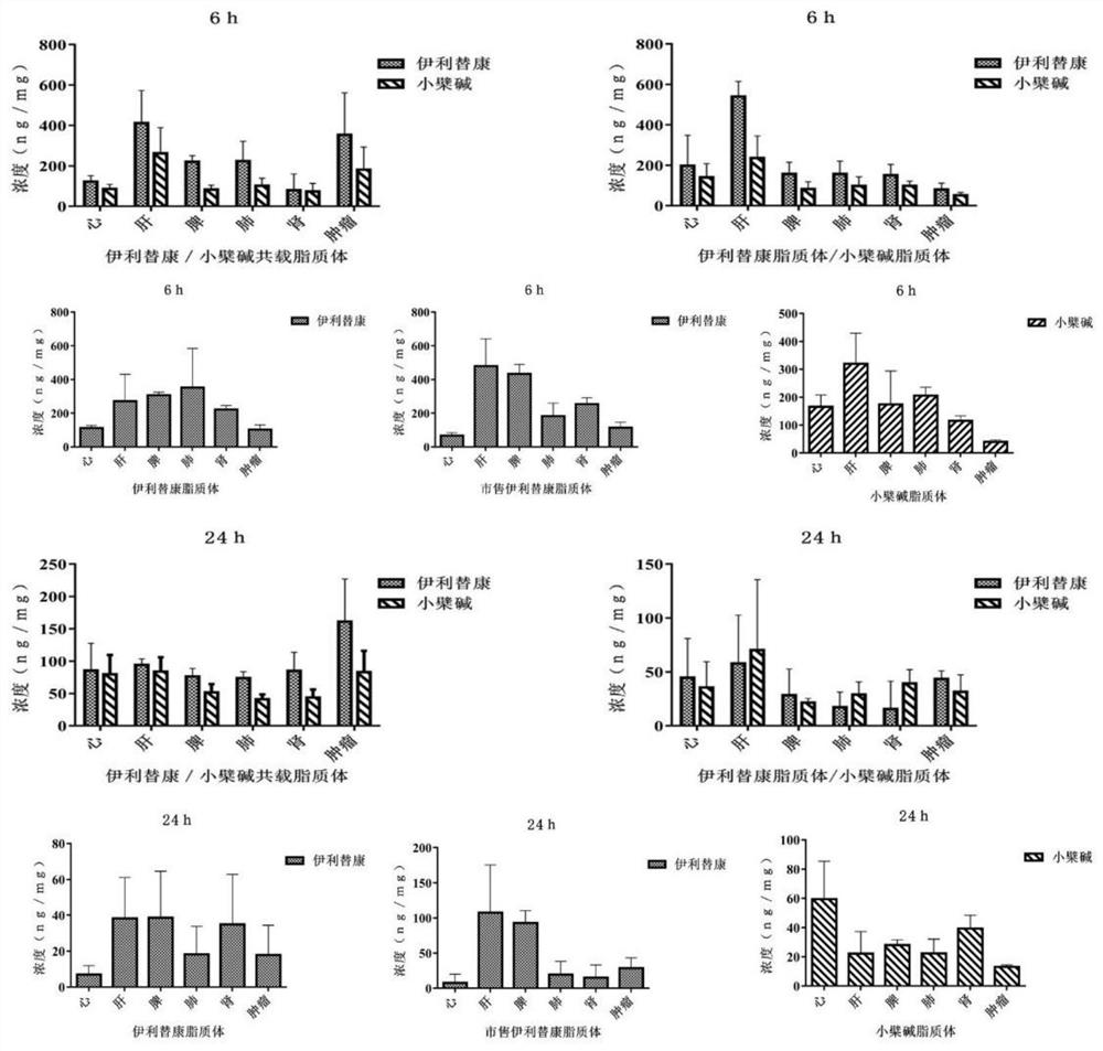 Pharmaceutical composition, pharmaceutical preparation, application and preparation method thereof for treating cancer