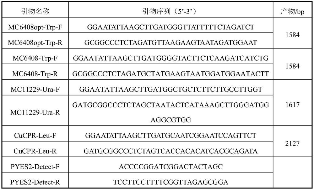 Optimized Sequence of Boluohui Dihydrotriphenanthridine Oxidase Gene and Its Application