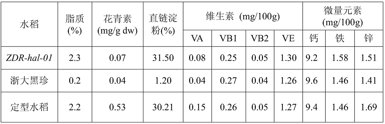 Breeding method for black-endosperm rice with high anthocyanin content