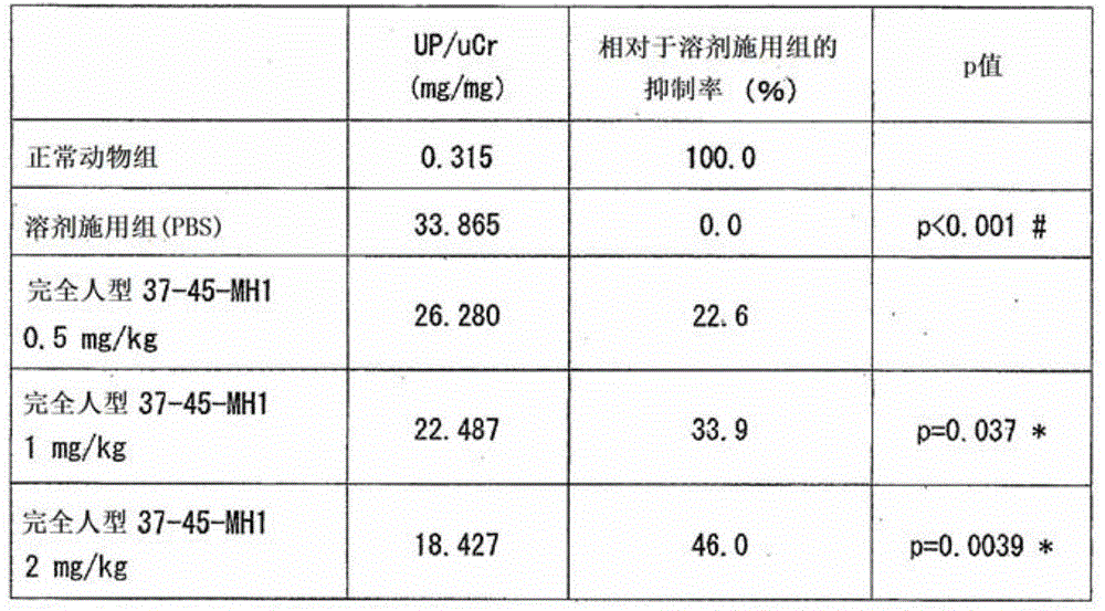 Novel anti-human ctgf antibody