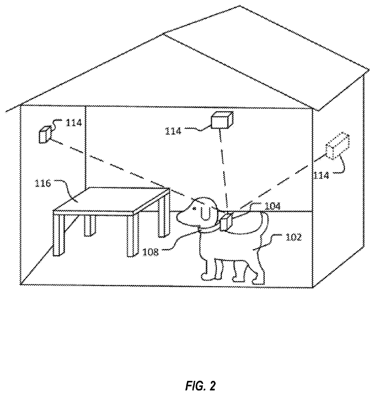 System for designating a boundary or area for a pet technical field