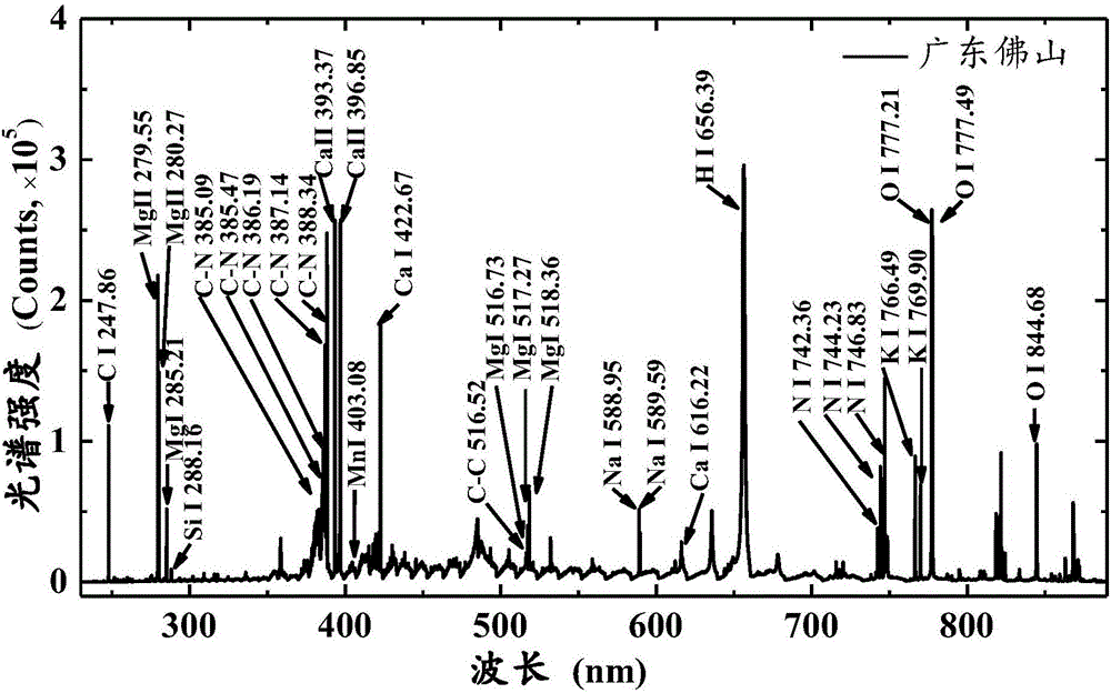 Multispectral combined laser induced breakdown spectroscopy cereal crop producing area identification method