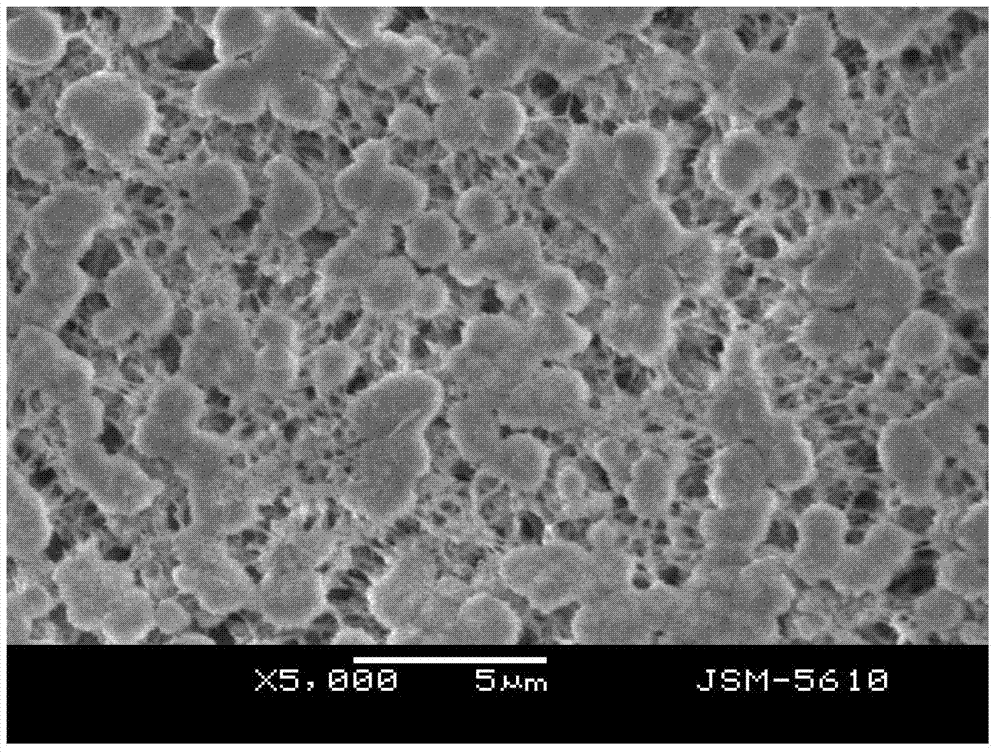 Preparation method and product of hydrophobic PVDF (Polyvinylidene Fluoride) microporous membrane with beta crystalline phase structure