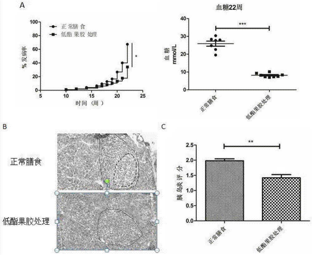 Applications of low methoxyl pectin in preventing and controlling, or auxiliary treatment of diabetes