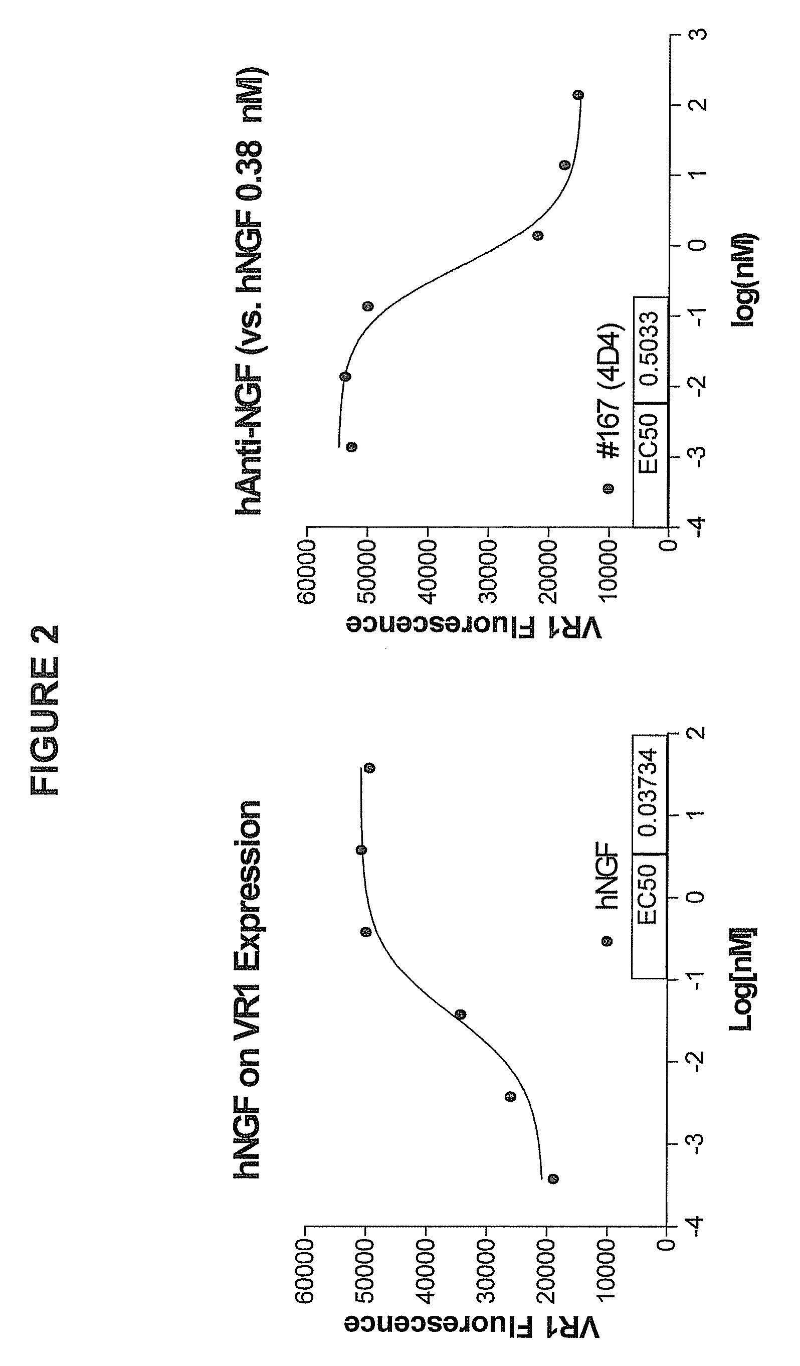 Methods of treating conditions caused by increased expression of nerve growth factor (NGF) or increased sensitivity to NGF using anti-NGF neutralizing antibodies as selective NGF pathway inhibitors