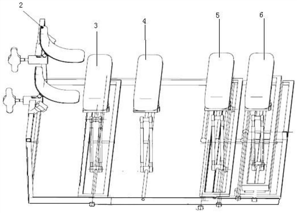 Spine orthopedic support