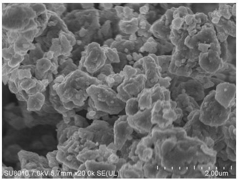 A transition metal phosphide MxPy oxygen reduction and hydrogen evolution bifunctional catalyst and preparation method and application thereof