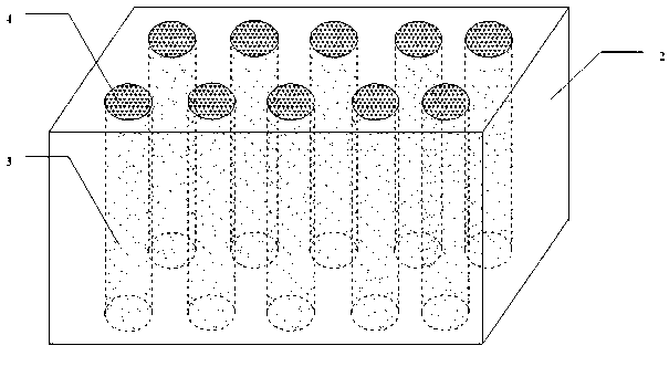Biological channels of concrete-lined channel