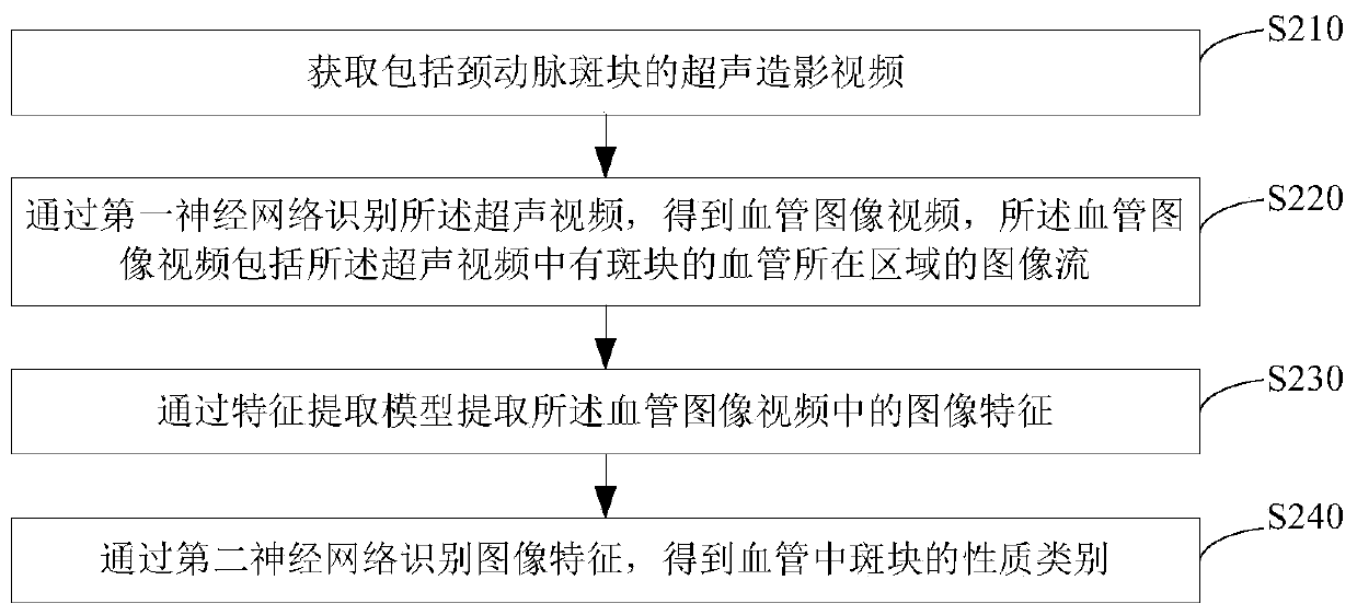 Carotid plaque property judgment method, storage medium and ultrasonic device