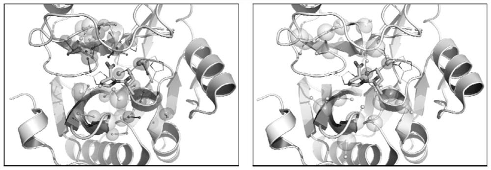 Metalloenzyme active site comparison method based on pharmacophore and alpha-carbon characteristics